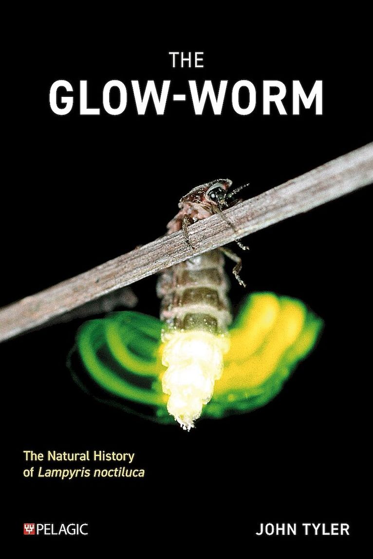 John Tyler - Glow-worm, Häftad