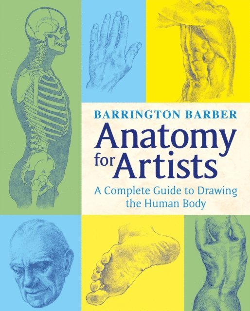 Barrington Barber - Anatomy for Artists, E-bok