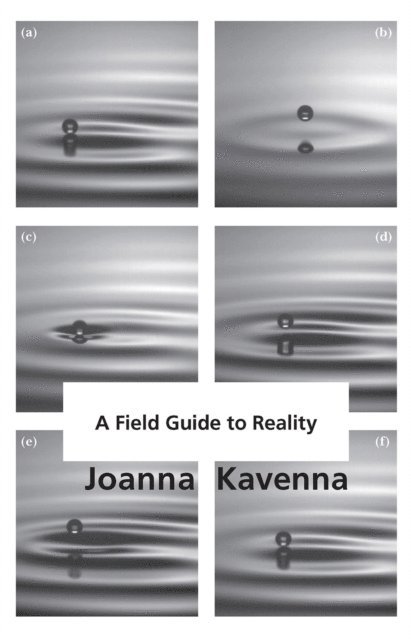 Joanna Kavenna - Field Guide to Reality, E-bok