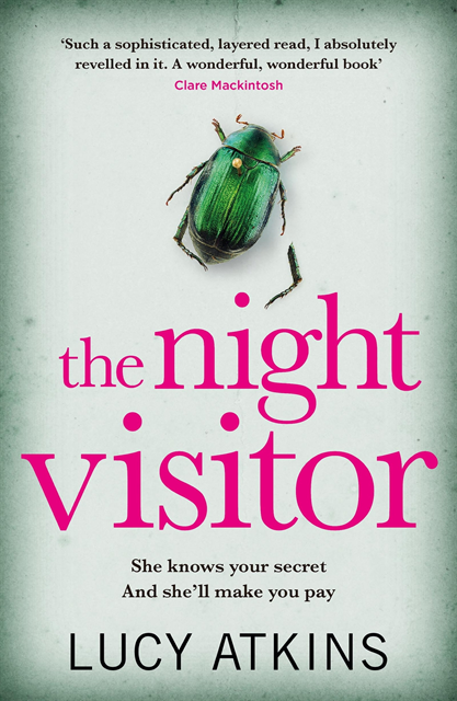 Lucy Atkins - Night Visitor, E-bok
