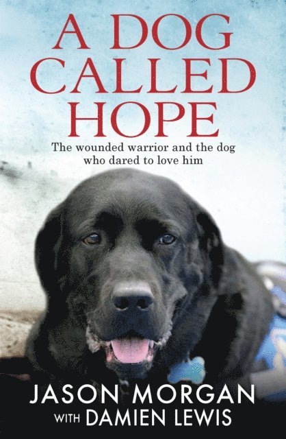 Damien Lewis - Dog Called Hope, E-bok