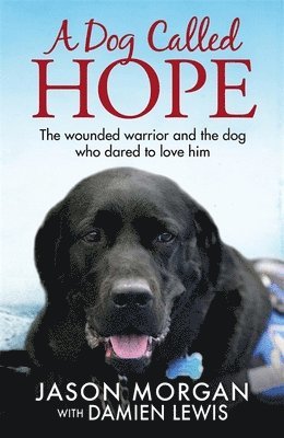 Damien Lewis - Dog Called Hope, Häftad