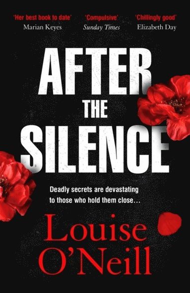 After the Silence av Louise O'Neill