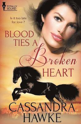 Cassandra Hawke - Blood Ties a Broken Heart, Häftad