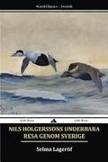 Nils Holgerssons underbara resa genom Sverige