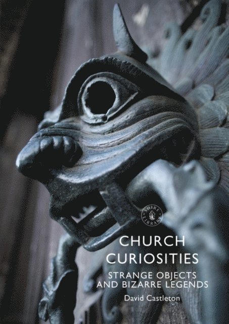 David Castleton - Church Curiosities, E-bok