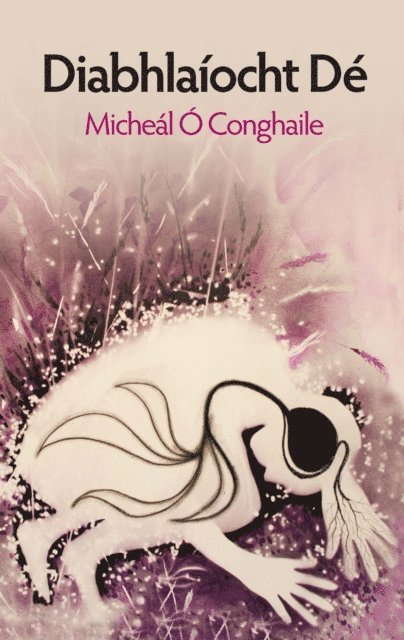 Micheal O Conghaile - Diabhlaíocht Dé, E-bok