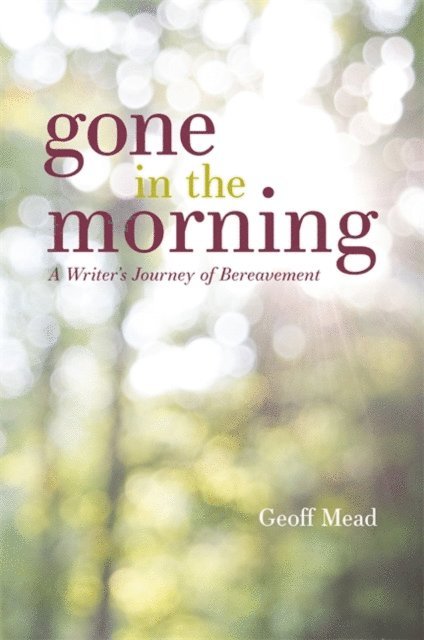 Geoff Mead - Gone in the Morning, E-bok