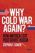 Why Cold War Again?