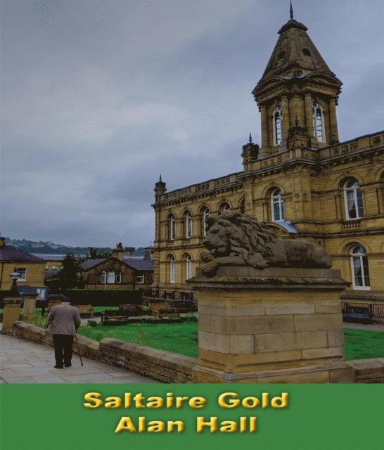 Alan Hall - Saltaire Gold, E-bok