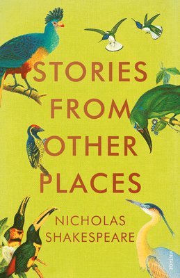 Nicholas Shakespeare - Stories from Other Places, Häftad