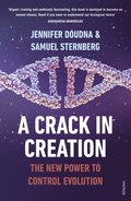 Crack in Creation