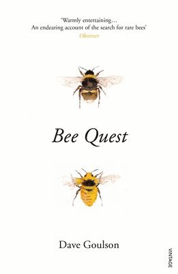 Dave Goulson - Bee Quest, Häftad
