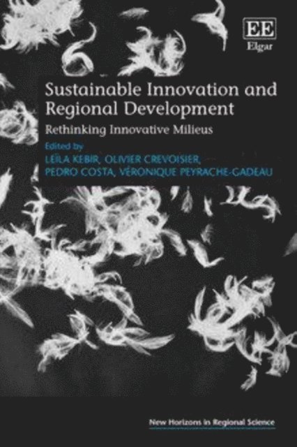 Veronique Peyrache-Gadeau, Pedro Costa, Olivier Crevoisier, Leila Kebir - Sustainable Innovation and Regional Development, E-bok