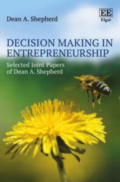 Dean A. Shepherd - Decision Making in Entrepreneurship, E-bok