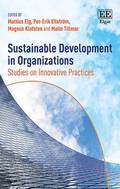 Sustainable Development in Organizations