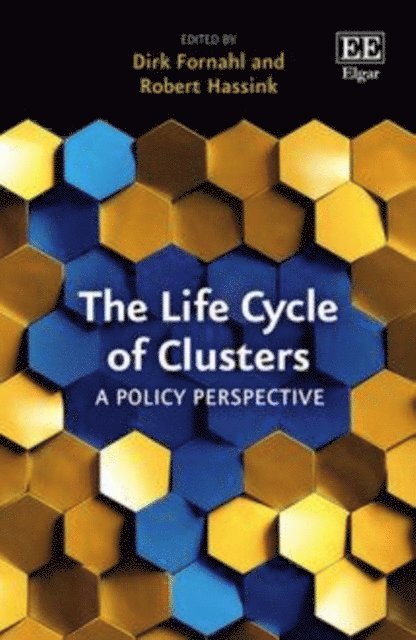 Robert Hassink, Dirk Fornahl - Life Cycle of Clusters, E-bok