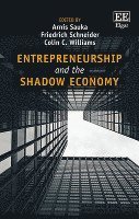 Entrepreneurship and the Shadow Economy