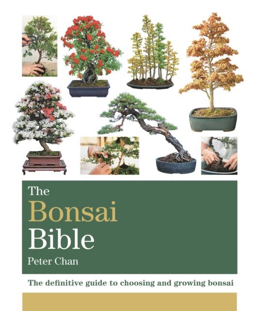 Peter Chan - Bonsai Bible, E-bok