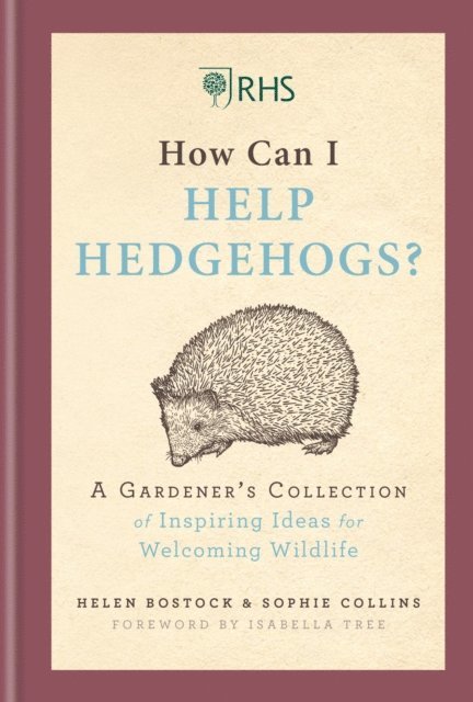 Sophie Collins, Helen Bostock - RHS How Can I Help Hedgehogs?, E-bok