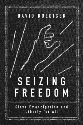 David R Roediger - Seizing Freedom, Häftad