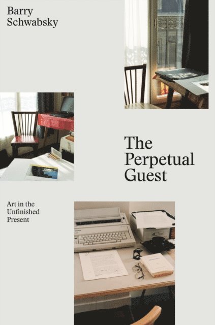 Barry Schwabsky - Perpetual Guest, E-bok