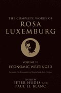 The Complete Works of Rosa Luxemburg, Volume II