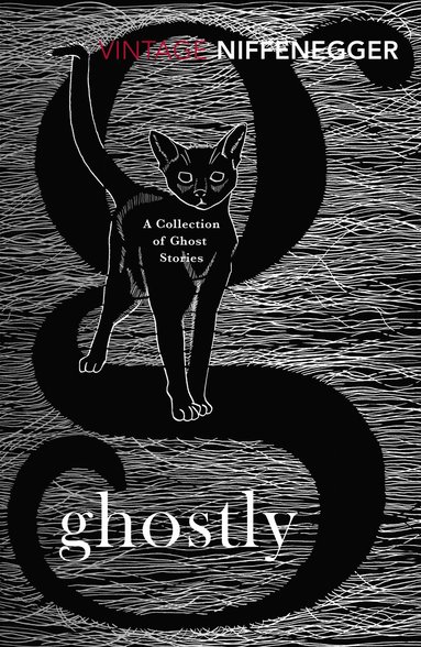 Ghostly av Audrey Niffenegger
