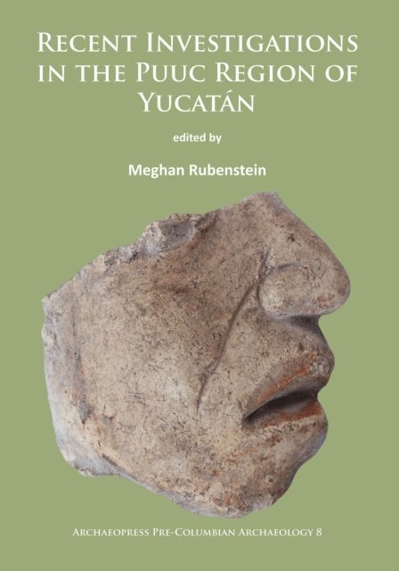Meghan Rubenstein - Recent Investigations in the Puuc Region of Yucatan, E-bok