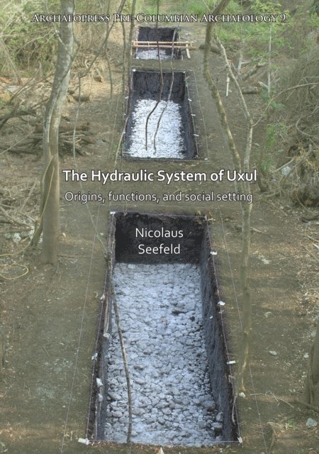 Nicolaus Seefeld - Hydraulic System of Uxul, E-bok