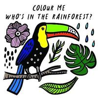 Colour Me: Whos in the Rainforest?: Volume 3
