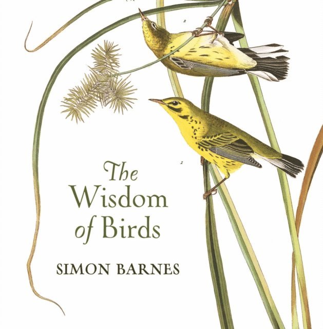 Simon Barnes - Meaning of Birds, E-bok