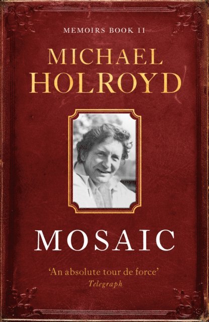 Michael Holroyd - Mosaic, E-bok