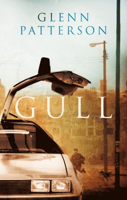 Glenn Patterson - Gull, E-bok