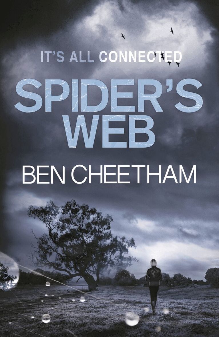 Ben Cheetham - Spider's Web, Häftad. Tillgänglighet: Tillfälligt slut