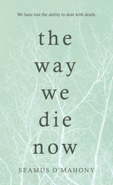 Seamus O'Mahony - Way We Die Now, E-bok