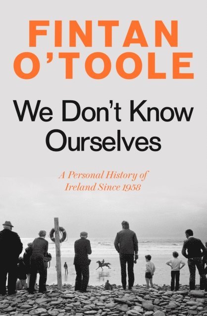 Fintan O'Toole - We Don't Know Ourselves, E-bok