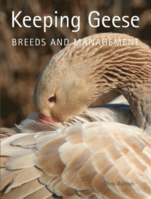 Chris Ashton - Keeping Geese, E-bok