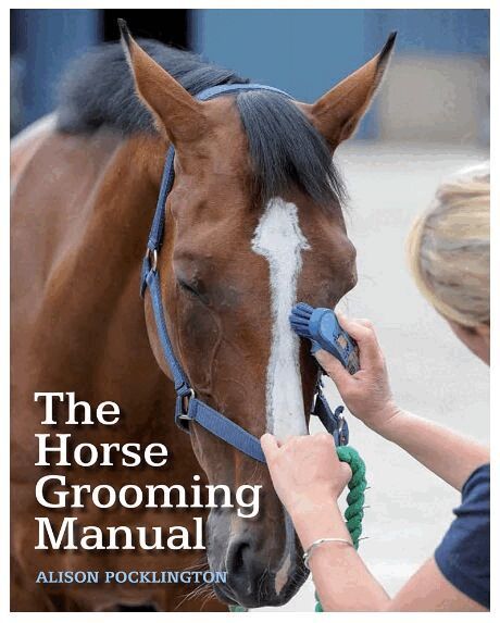 Alison Pocklington - Horse Grooming Manual, Häftad. Tillgänglighet: Lägg i varukorg