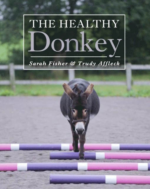 Sarah Fisher, Trudy Affleck - Healthy Donkey, E-bok