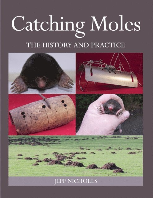 Jeff Nicholls - Catching Moles, E-bok