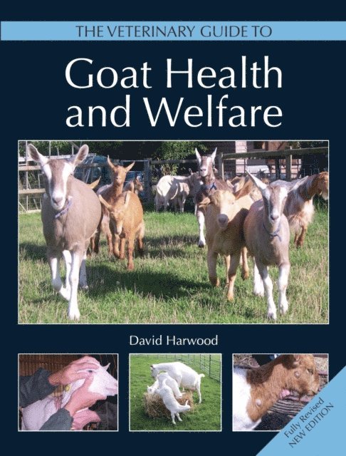 David Harwood - Veterinary Guide to Goat Health and Welfare, E-bok