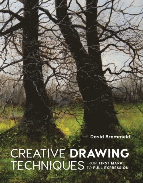 David Brammeld - Creative Drawing Techniques, E-bok