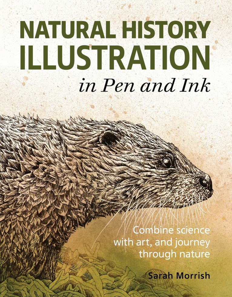 Sarah Morrish - Natural History Illustration in Pen and Ink, Häftad