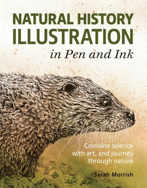 Sarah Morrish - Natural History Illustration in Pen and Ink, E-bok
