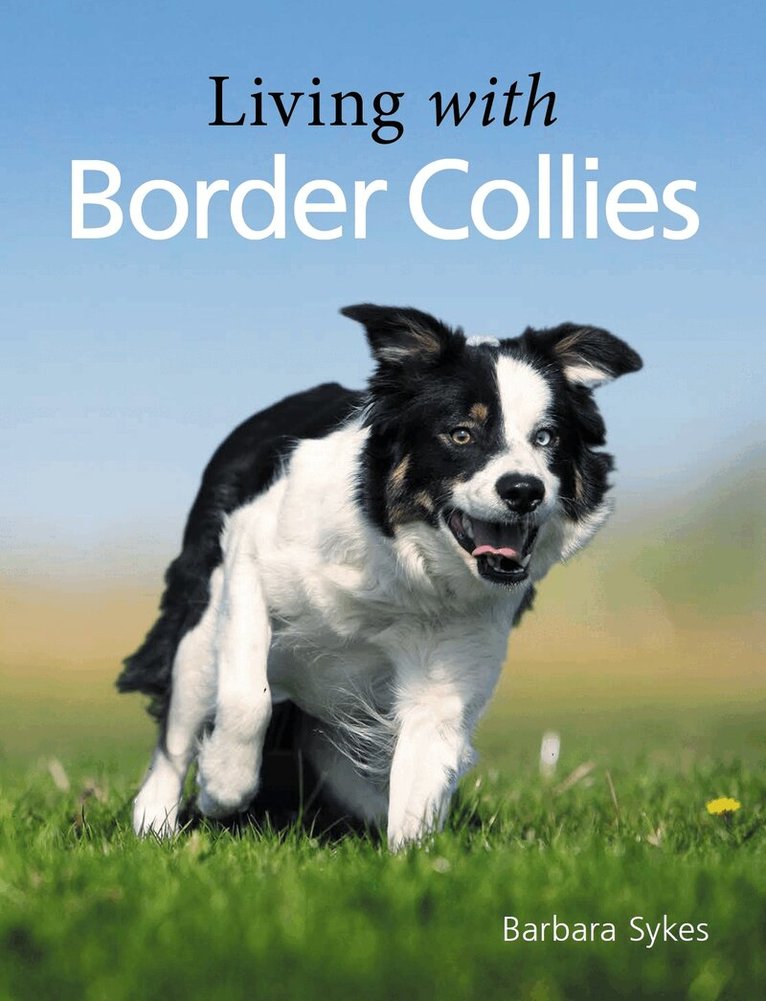 Barbara Sykes - Living with Border Collies, Häftad. Tillgänglighet: Lägg i varukorg