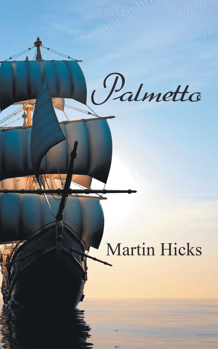 Martin Hicks - Palmetto, Häftad