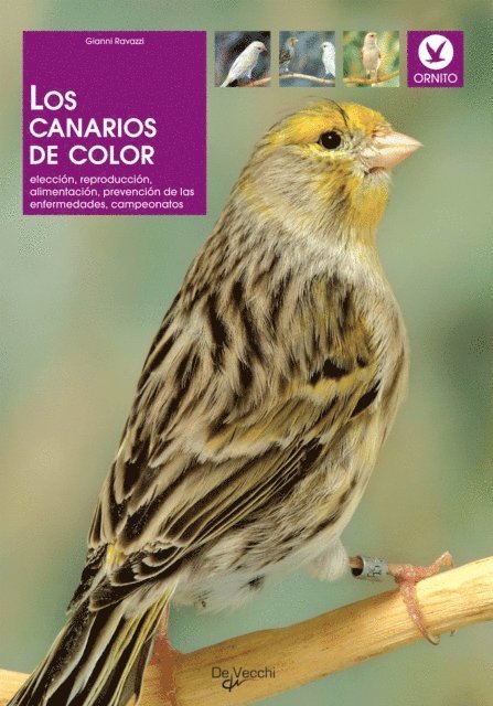 Gianni Ravazzi - Los canarios de color, E-bok. Tillgänglighet: Lägg i varukorg