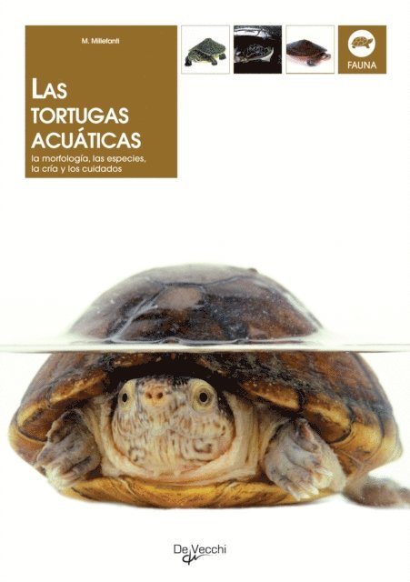 Massimo Millefanti - Las tortugas acuáticas, E-bok. Tillgänglighet: Lägg i varukorg