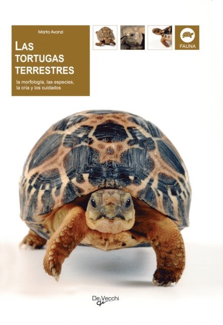 Marta Avanzi - Las tortugas terrestres, E-bok. Tillgänglighet: Lägg i varukorg